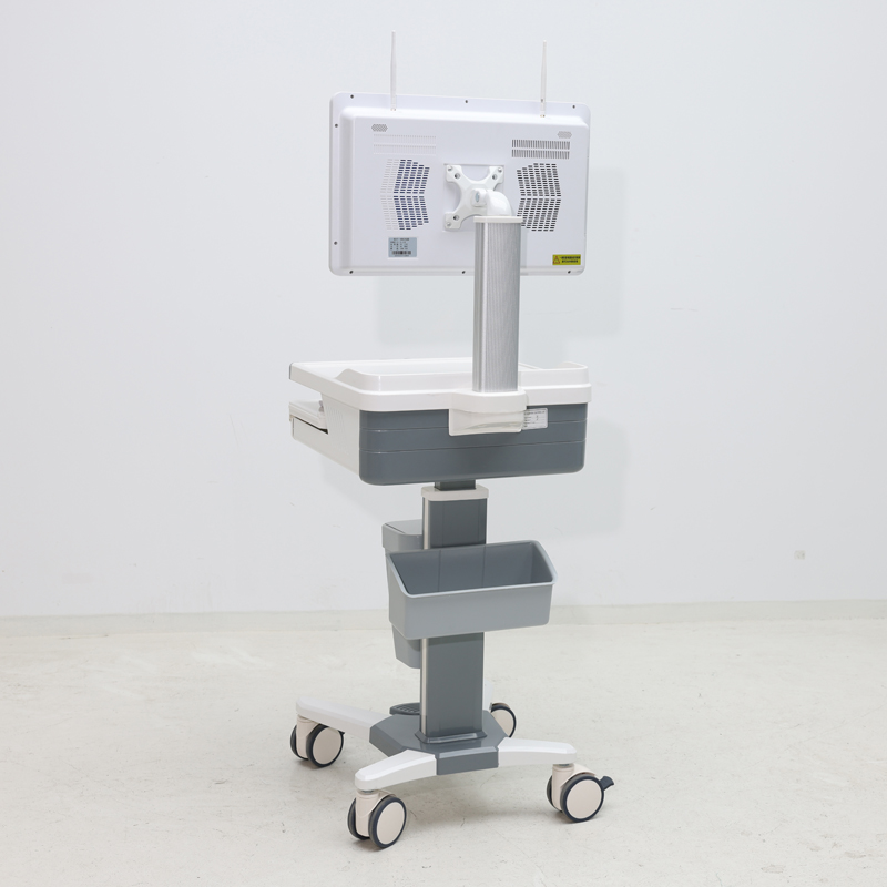 MOBILE COMPUTER trolley